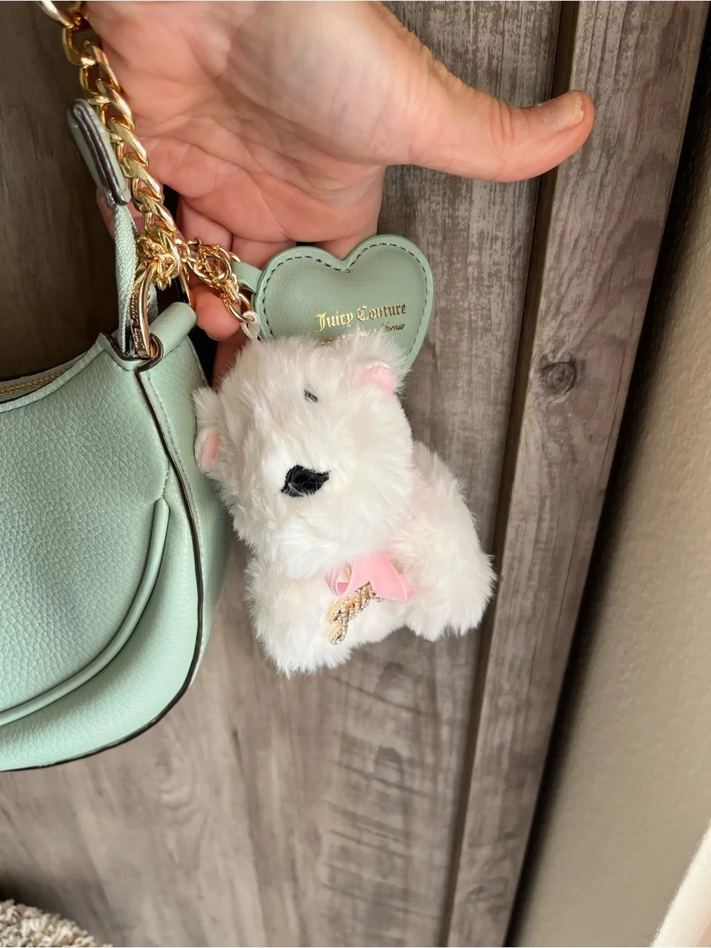 NWT Juicy Couture Mint Green Crescent Crossbody Shoulder Bag Heart Logo Charm